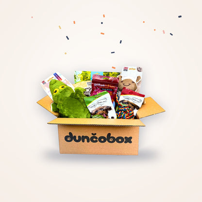 Narodeninový DunčoBox – otvorený box s hračkami a maškrtami pre psa